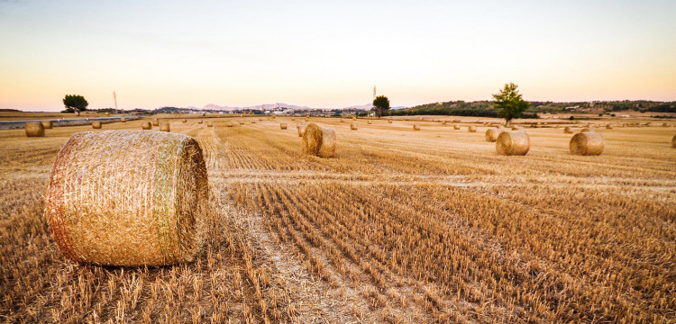 Agricole