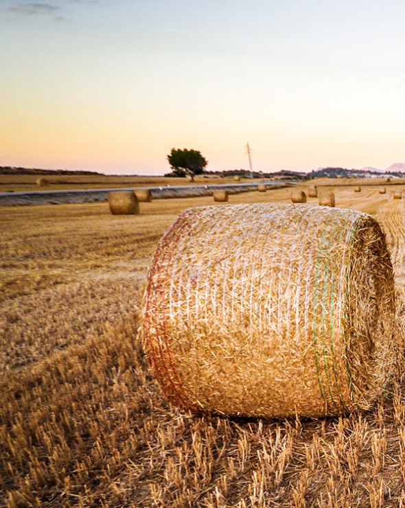 Farms